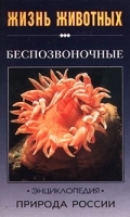 Беспозвоночные артикул 11175a.