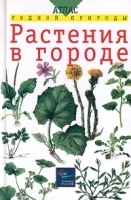Растения в городе артикул 11205a.